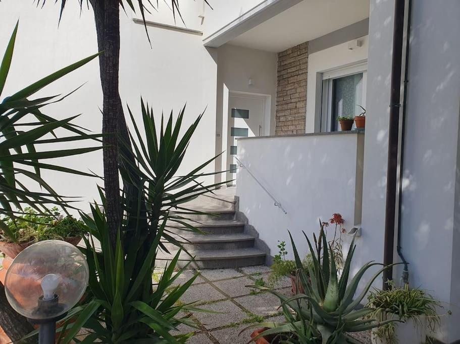 Lecci Al Mare Apartment Сан Винченцо Екстериор снимка
