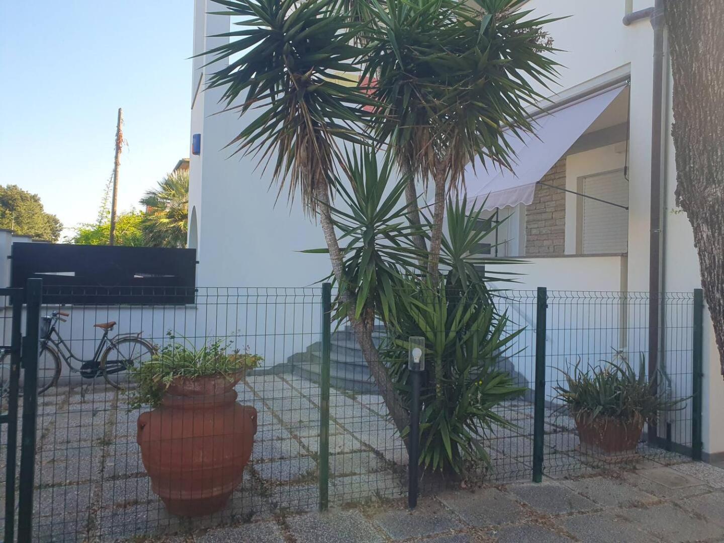 Lecci Al Mare Apartment Сан Винченцо Екстериор снимка